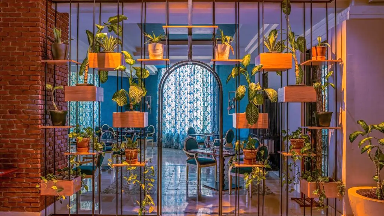 Hotel Rixos Adults Only - Sharm Elshikh